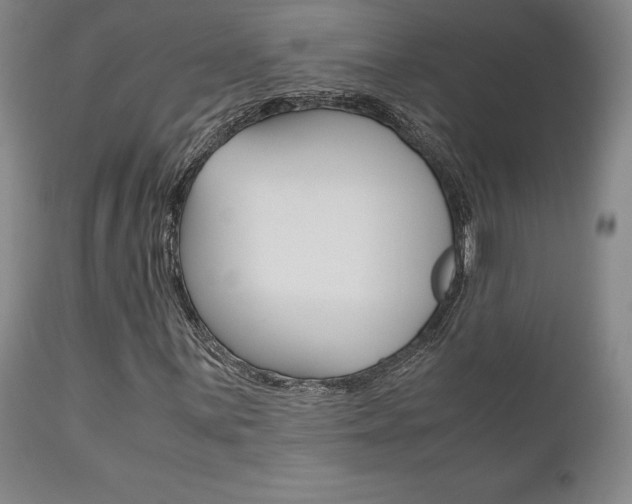 X0000111121059200906301036
