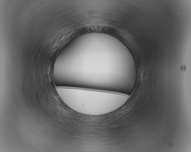 X0000111121060200906301036
