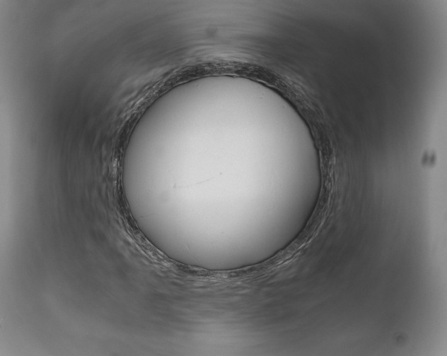 X0000111121061200906301036