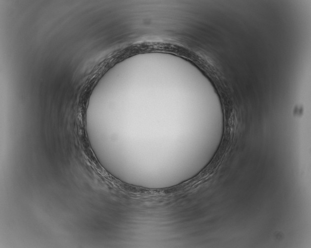X0000111121062200906301036