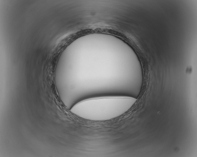 X0000111121063200906301036