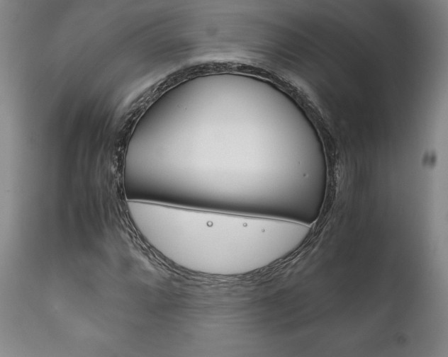X0000111121064200906301036