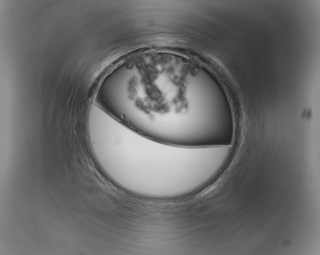 X0000111121065200906301036