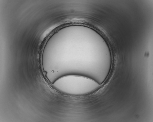 X0000111121066200906301036