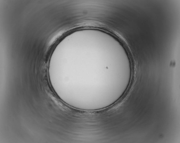 X0000111121067200906301036