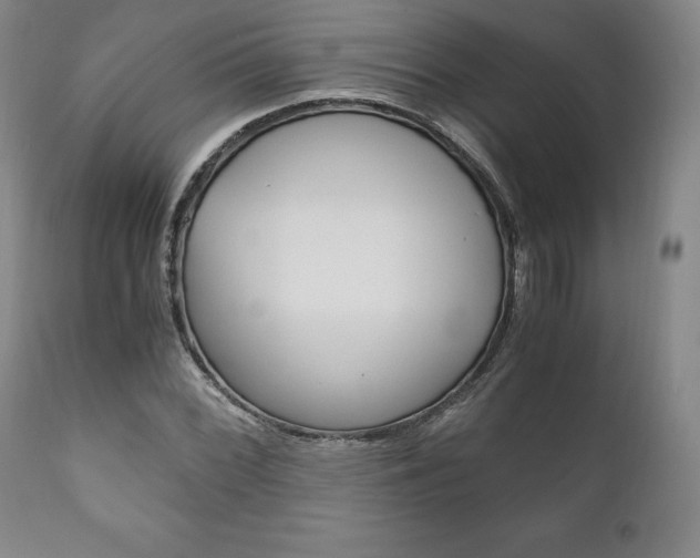 X0000111121068200906301036