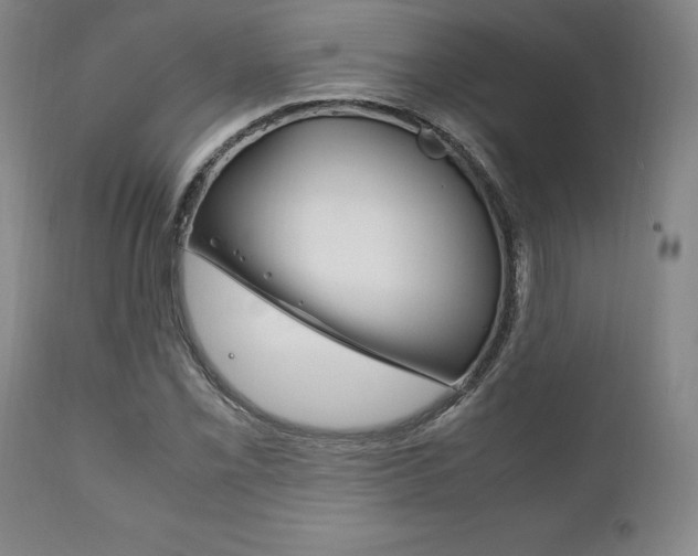 X0000111121069200906301036