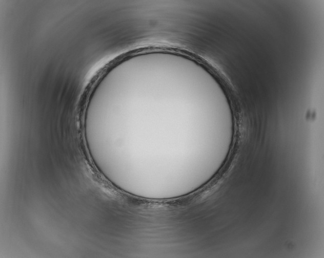 X0000111121070200906301036