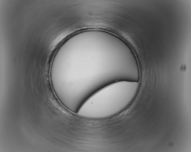 X0000111121071200906301036