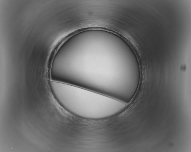 X0000111121072200906301036