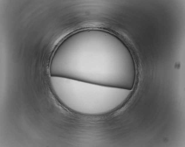 X0000111121073200906301036