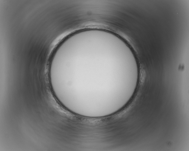X0000111121074200906301036