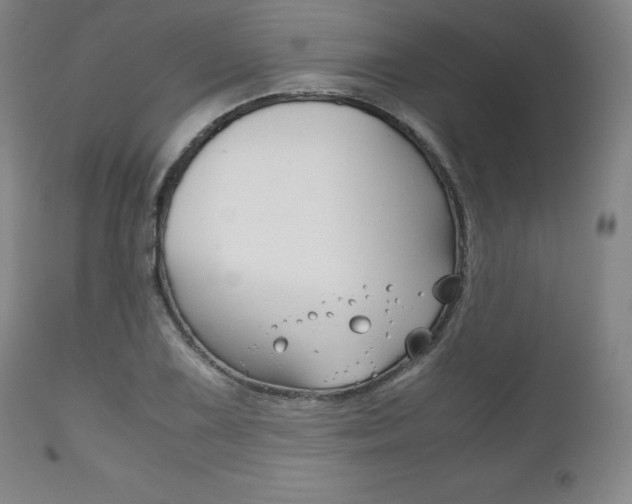 X0000111121075200906301036