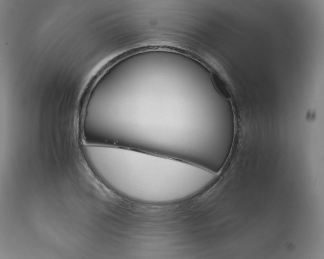 X0000111121076200906301036