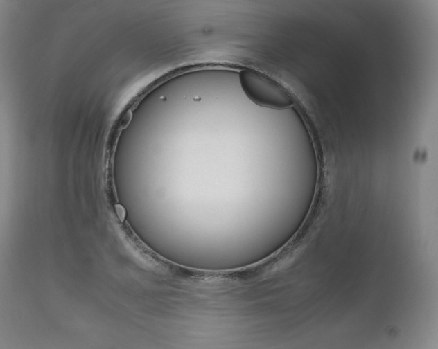 X0000111121077200906301036