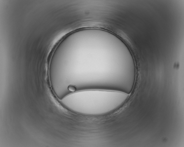 X0000111121079200906301036