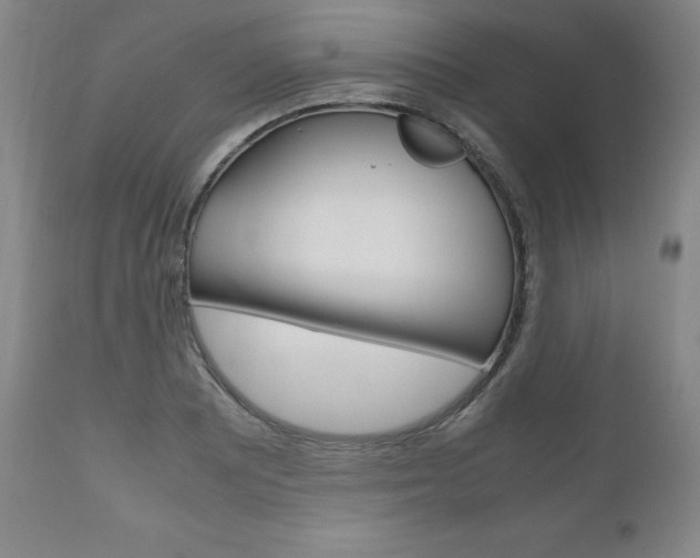X0000111121081200906301036