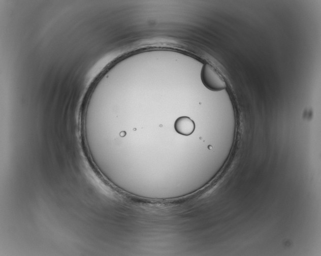 X0000111121082200906301036