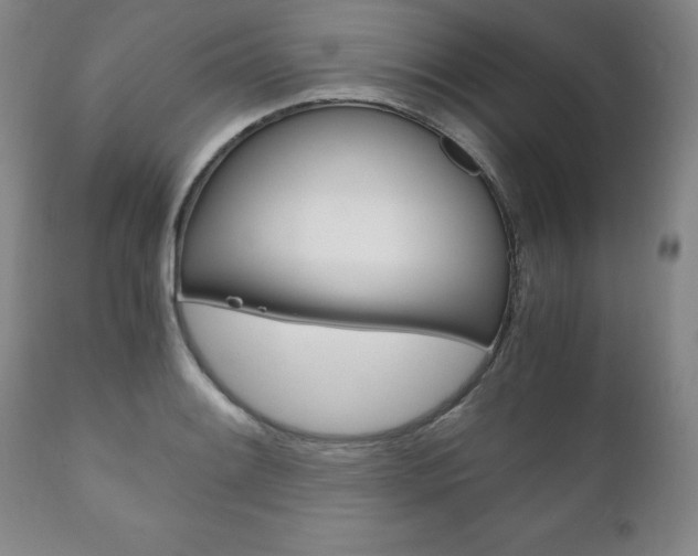 X0000111121084200906301036