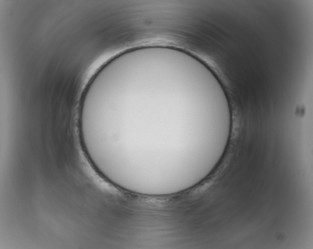 X0000111121086200906301036