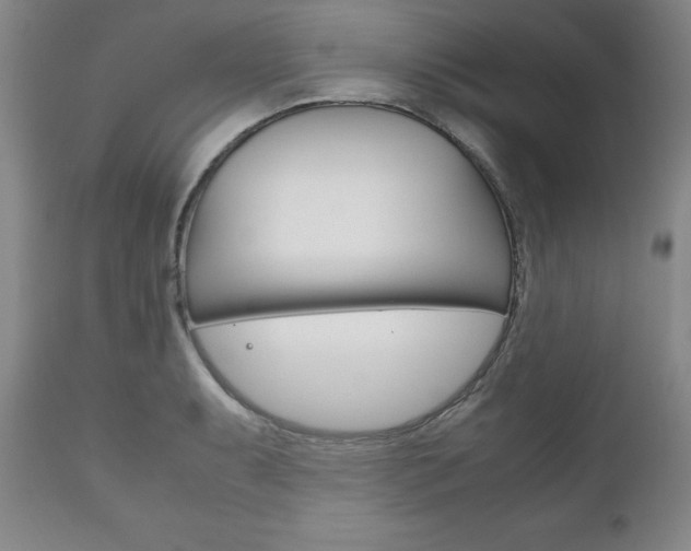 X0000111121087200906301036