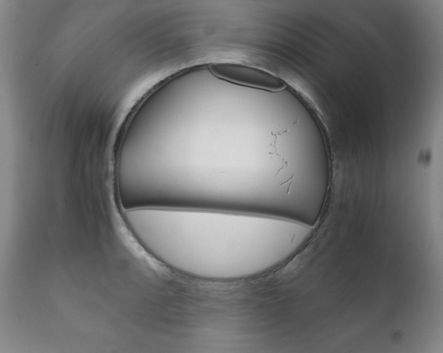 X0000111121088200906301036
