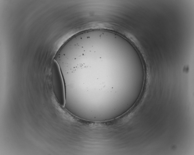 X0000111121089200906301036