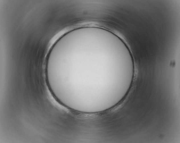 X0000111121090200906301036