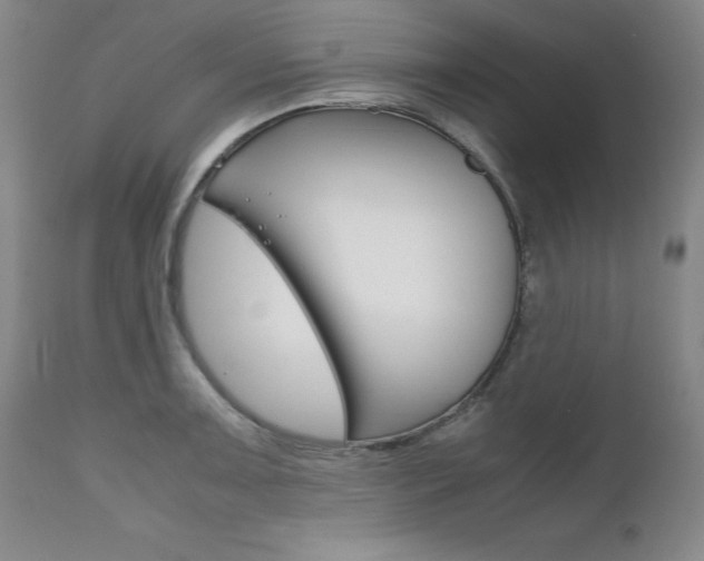 X0000111121091200906301036