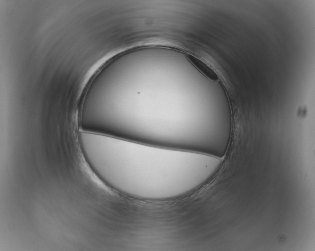 X0000111121092200906301036