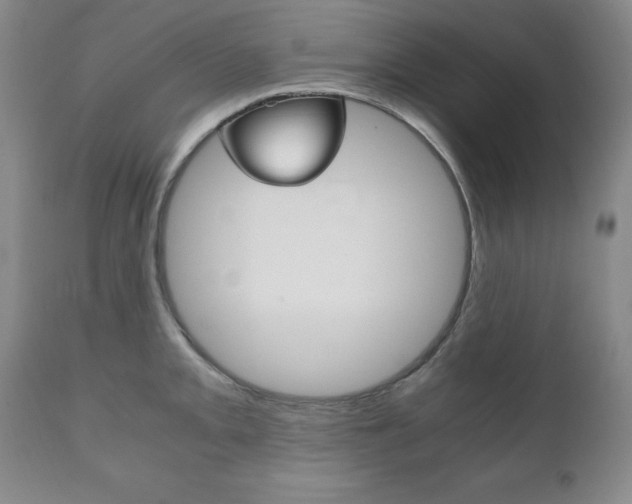 X0000111121093200906301036