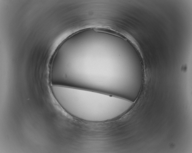X0000111121096200906301036