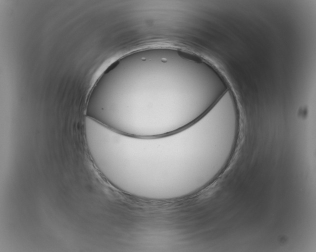 X0000111121097200906301036