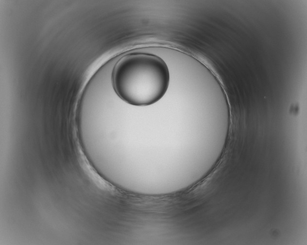 X0000111121098200906301036