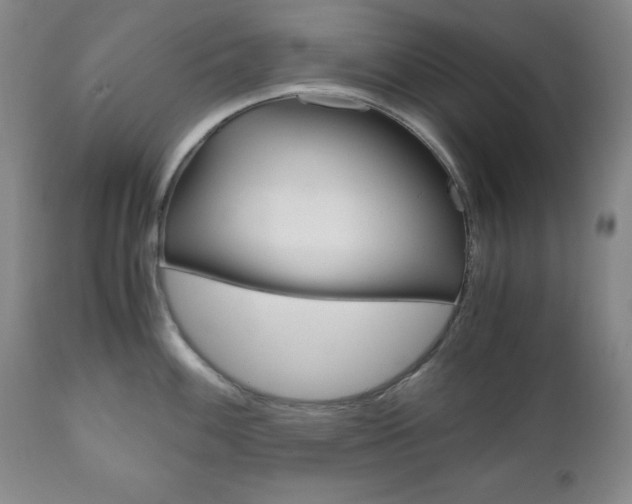 X0000111121100200906301036
