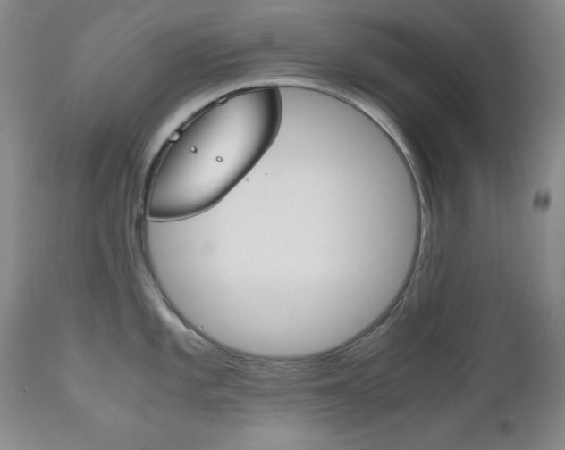 X0000111121101200906301036
