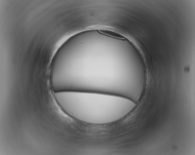 X0000111121102200906301036