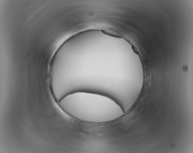 X0000111121103200906301036