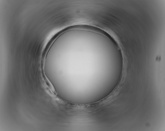 X0000111121104200906301036