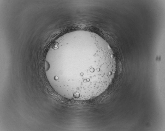 X0000111121105200906301035