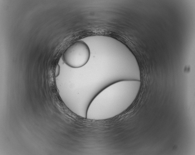 X0000111121106200906301035