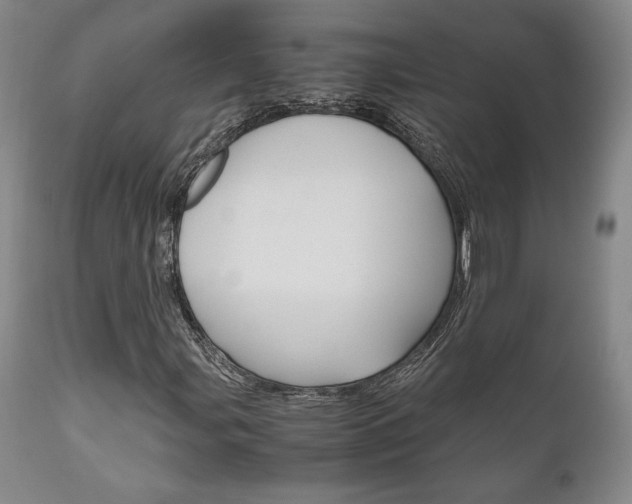 X0000111121107200906301035