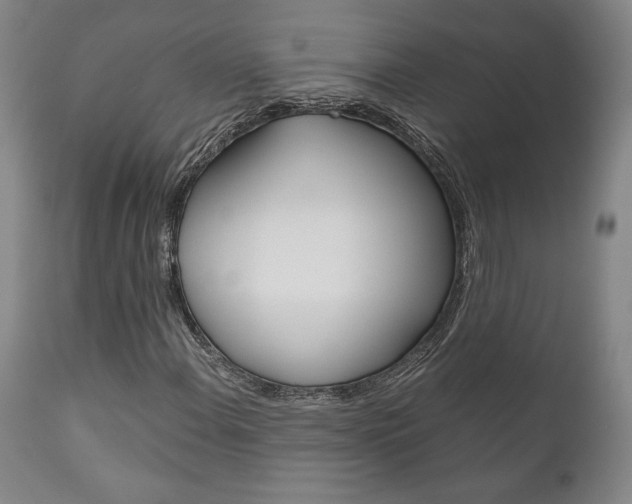 X0000111121108200906301035