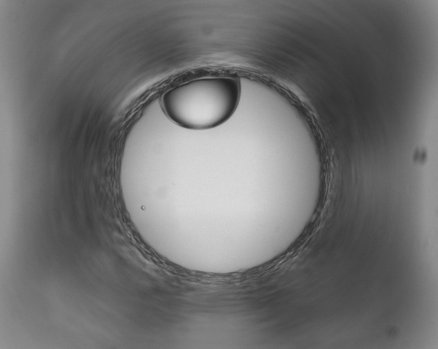 X0000111121112200906301035