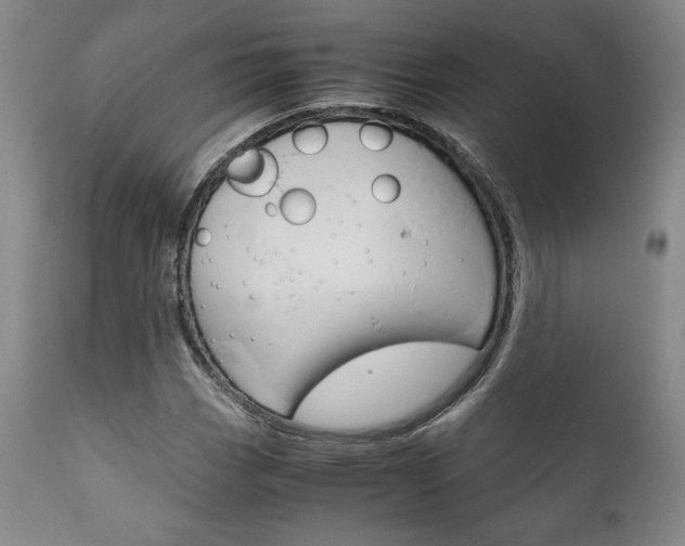 X0000111121113200906301035