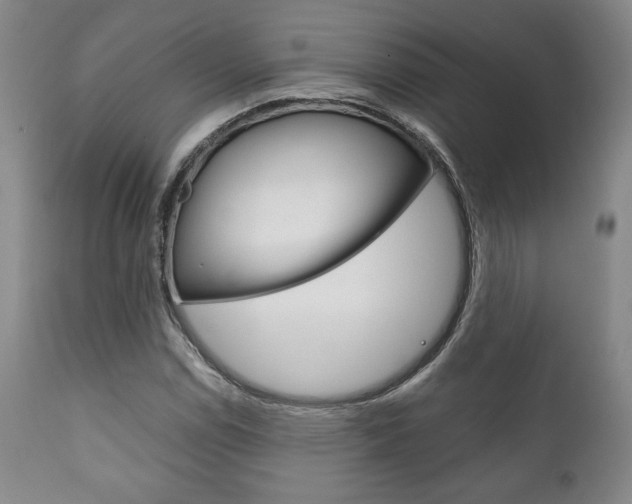 X0000111121114200906301035