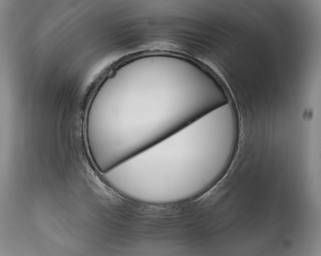 X0000111121115200906301035