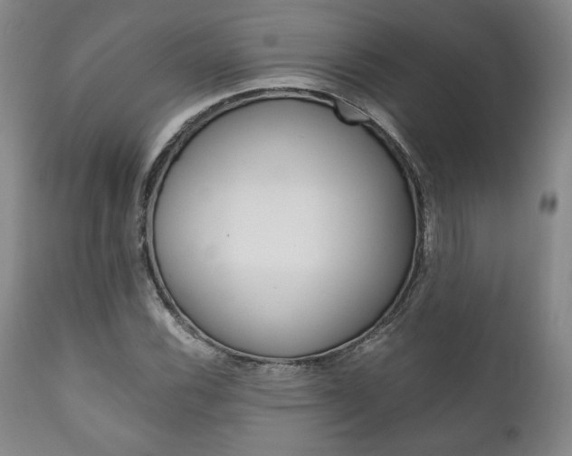 X0000111121116200906301035