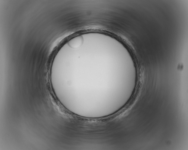 X0000111121117200906301035