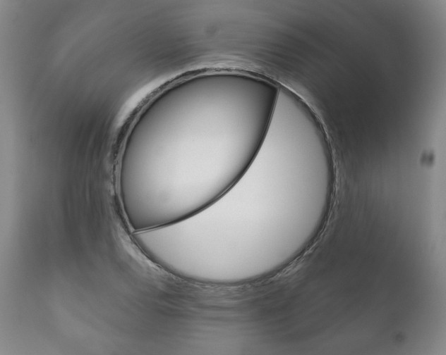 X0000111121120200906301035